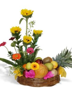 FRUTAS